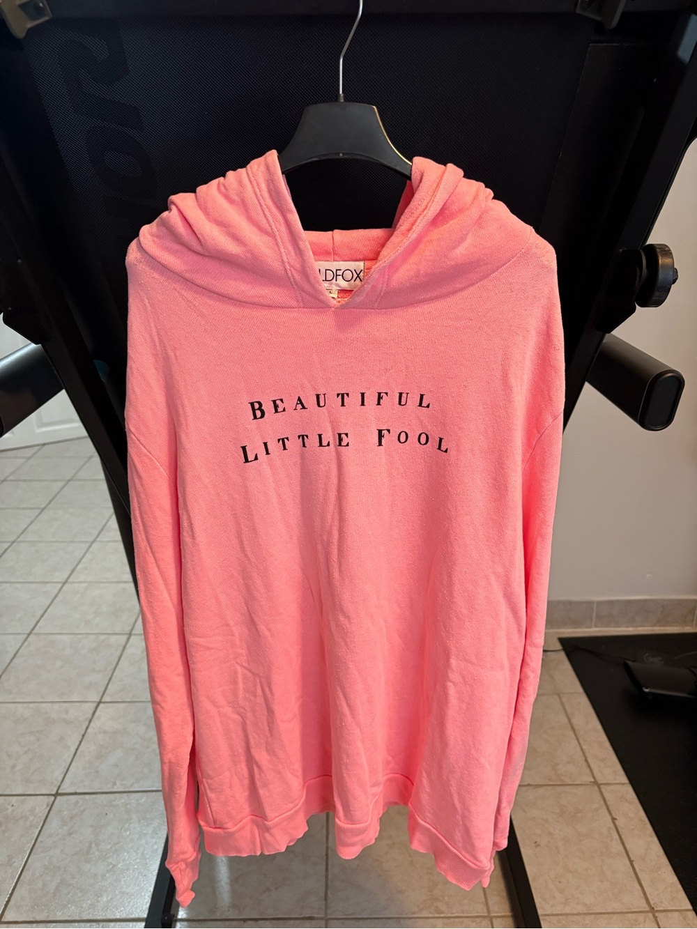 Wildfox Pink 'Beautiful Little Fool' Hoodie